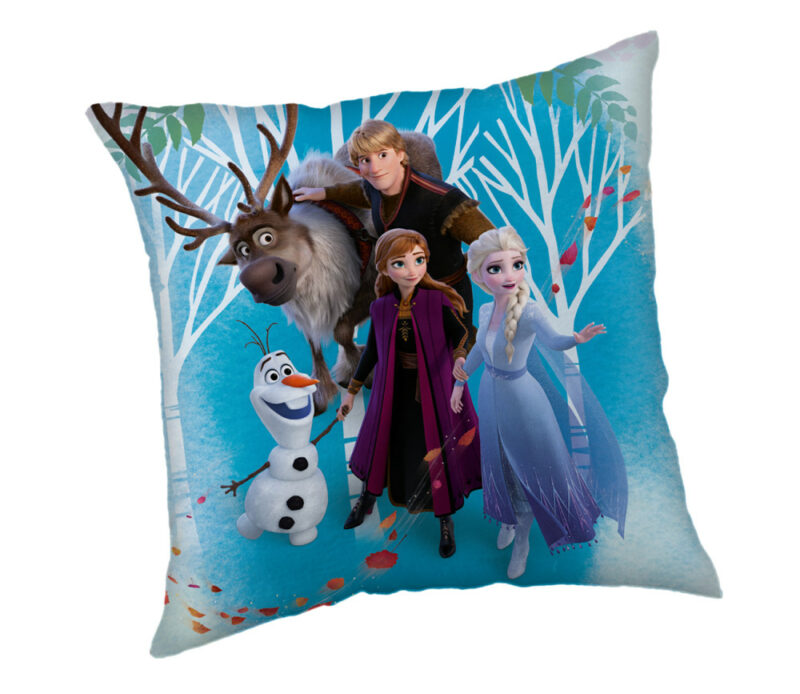 Disney Frozen Family Βελούδο Παιδική διακοσμητική μαξιλαροθήκη 40×40 cm 5897158