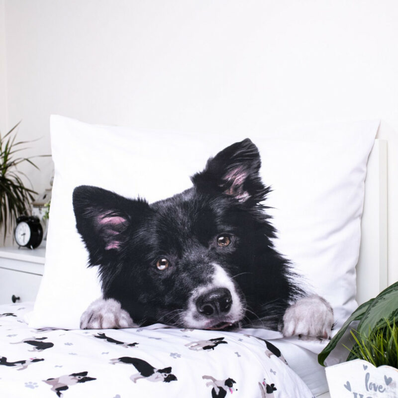 Dog Border Collie Σετ Μονή Παπλωματοθήκη Βαμβακερή 2 Τεμαχίων 140×200 και 70×90 cm 5905522