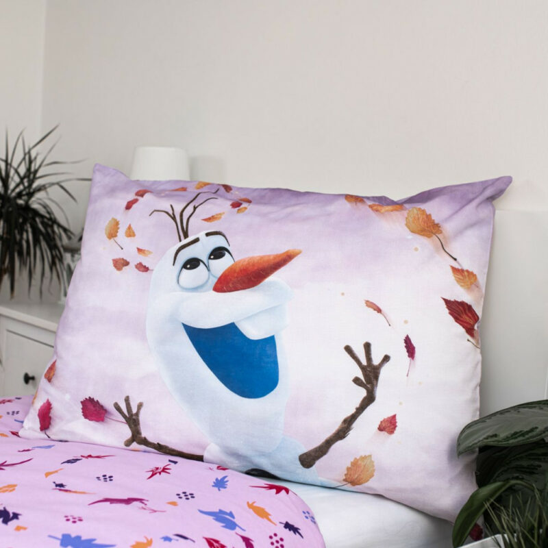Disney Frozen Sky Σετ Μονή Παπλωματοθήκη Βαμβακερή 2 Τεμαχίων 140×200 και 70×90 cm 5873851