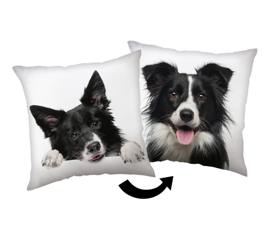 Dog Border Collie Διακοσμητικό μαξιλάρι 40×40 cm
