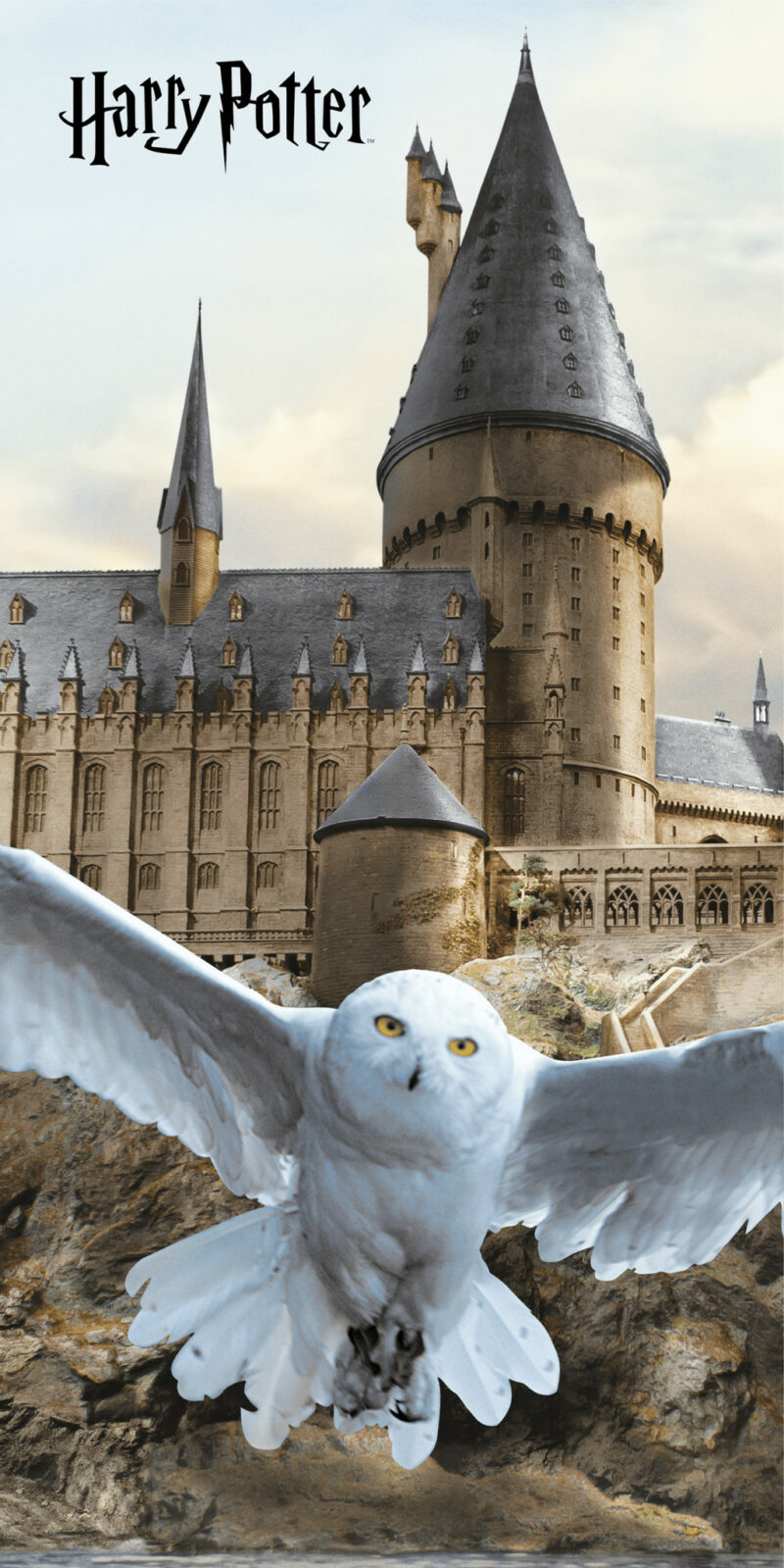 Harry Potter Hedwig Fly bath towel 6032349
