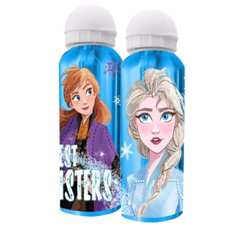 Disney Frozen Sisters Αλουμινένιο Παγούρι 500 ml 5873574