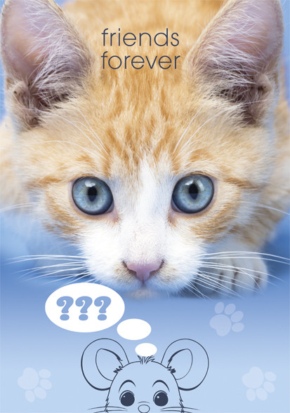 Cat Friends Forever Φάκελος Εγγράφων A4 23×32 cm 5886441