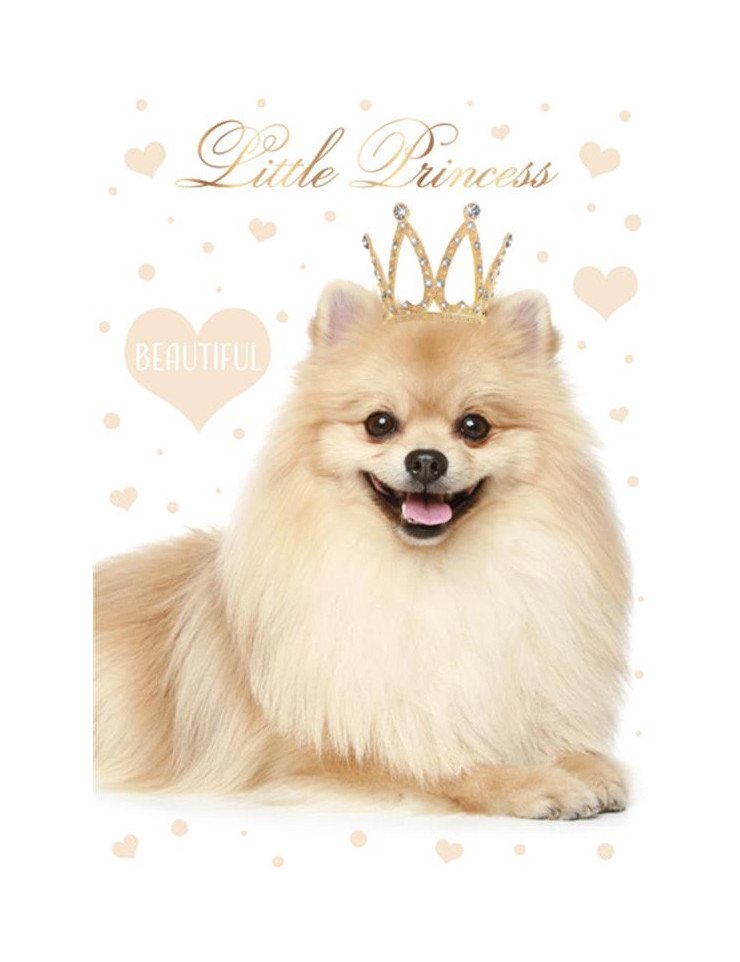 Dog Little Princess Φάκελος Εγγράφων A4 23×32 cm 5886445
