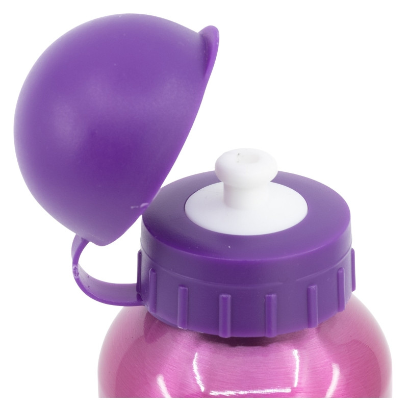 Disney Princess Bright Αλουμινένιο Παγούρι 400 ml 5873553