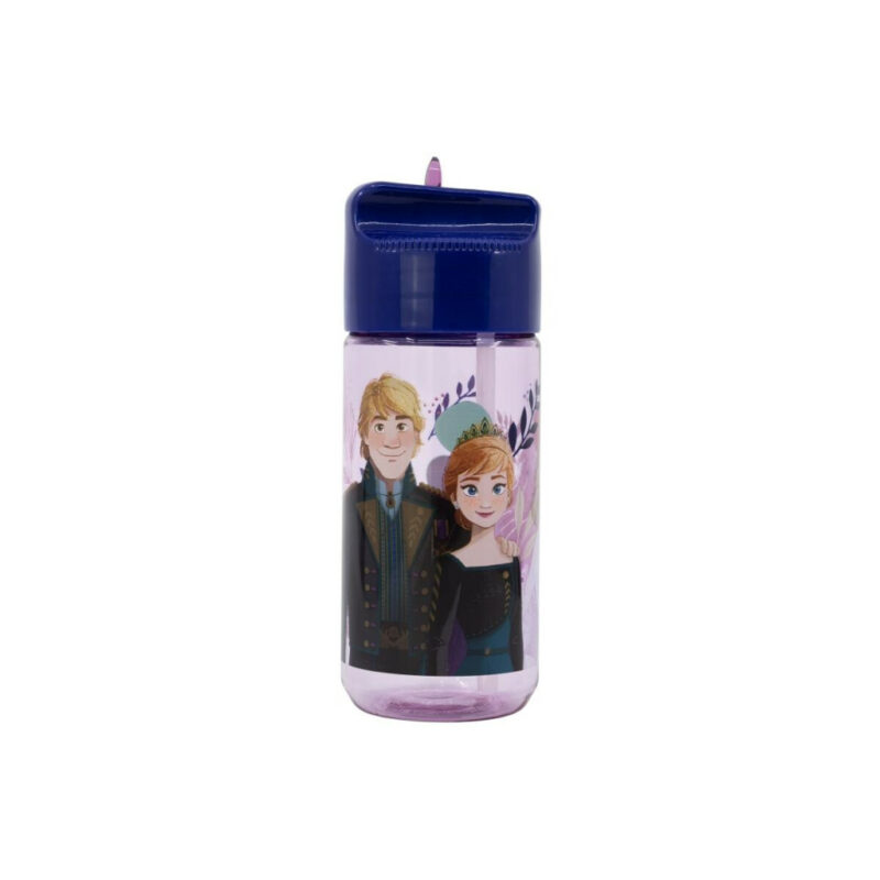 Disney Frozen Journey Πλαστικό Παγούρι με Καλαμάκι 430 ml 5898695