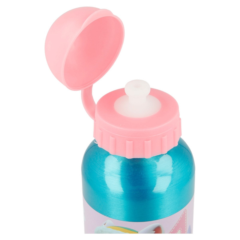 Paw Patrol Girls Αλουμινένιο Παγούρι 400 ml 5873612