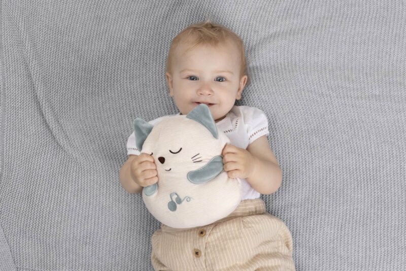 Chicco Βρεφικό Γατάκι με Μελωδία Για 0+ Ετών 5683897